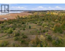 Pt Lt 17 Southside Road, Kawartha Lakes, ON K9V4R5 Photo 7