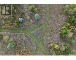 Pt Lt 17 Southside Road, Kawartha Lakes, ON K9V4R5 Photo 9