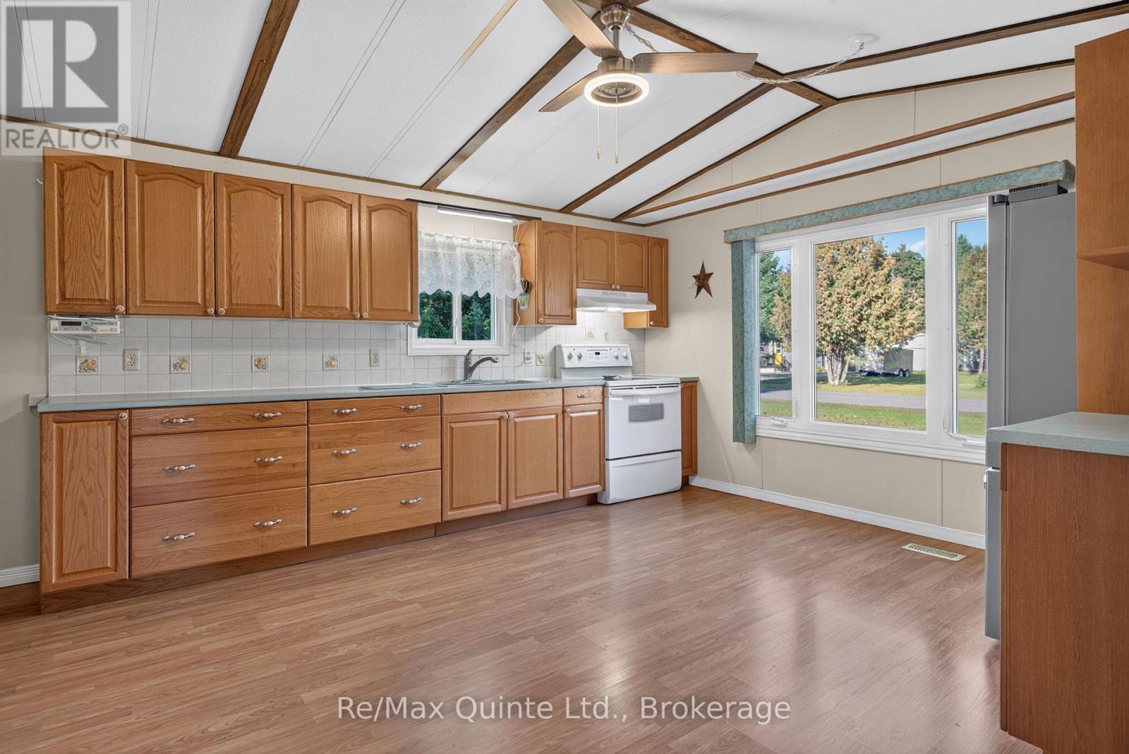 30 Chandos Street, Havelock-Belmont-Methuen, ON photo 8
