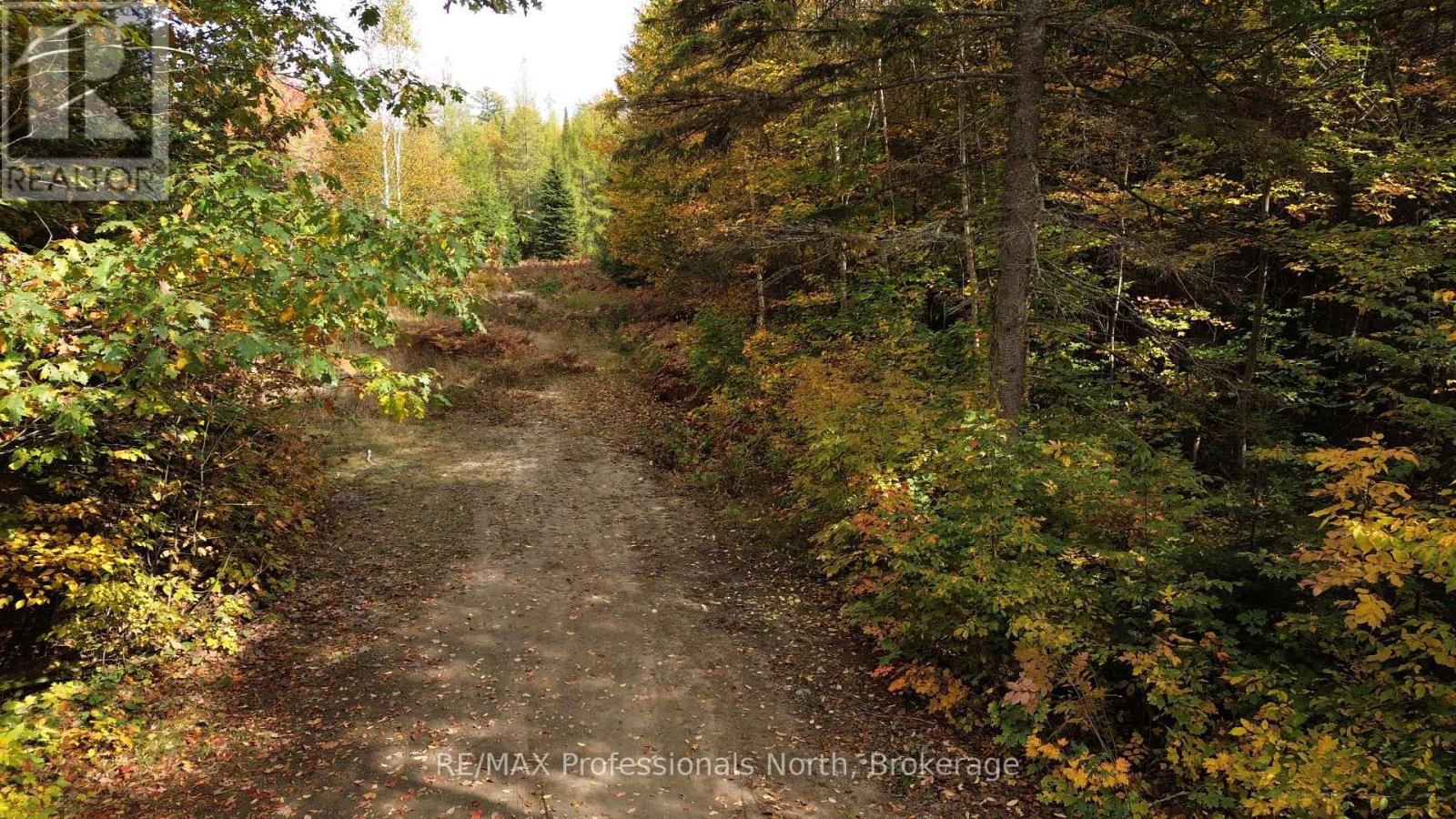 3907 Stisted Road — photo 28