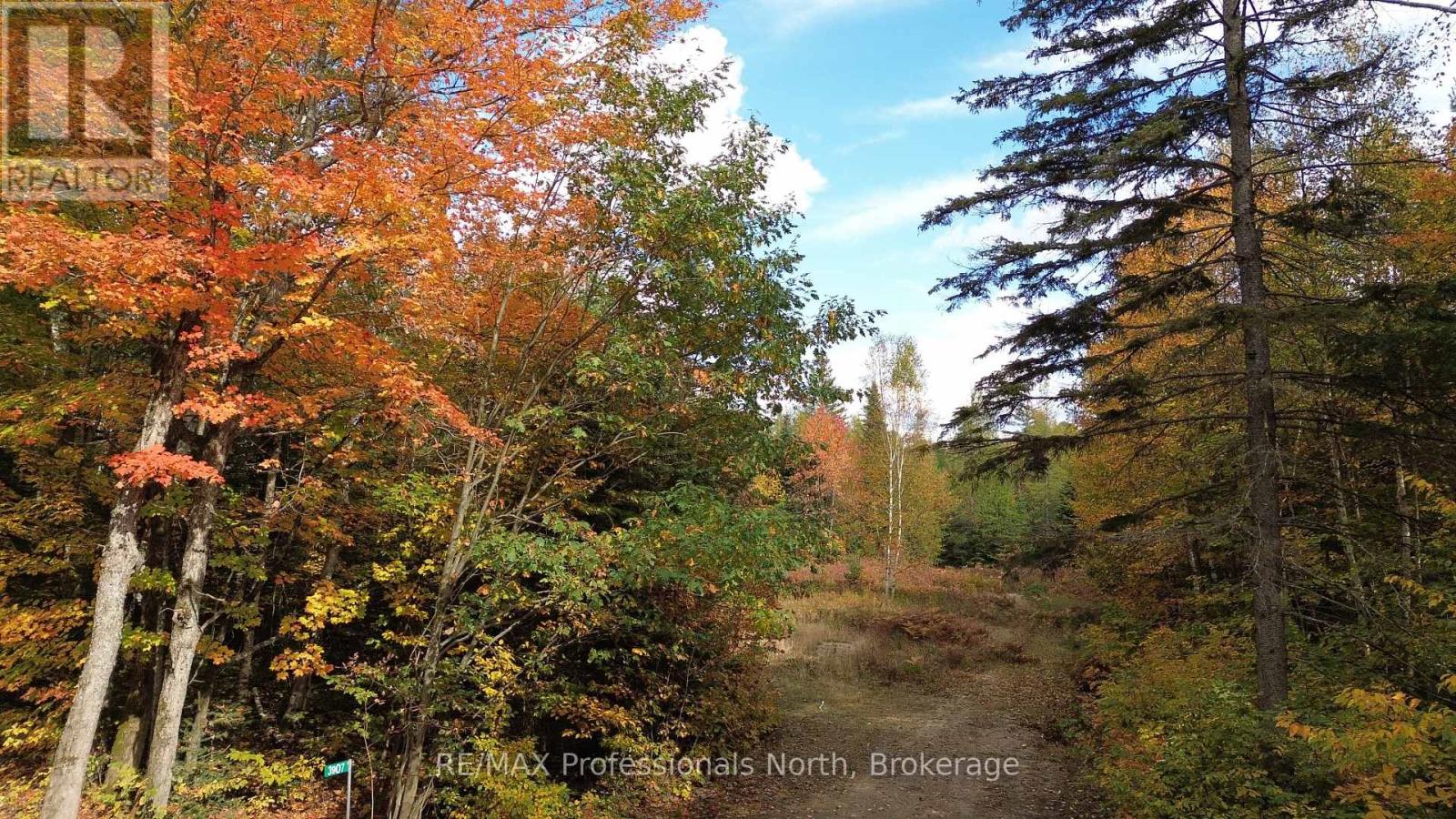 3907 Stisted Road — photo 27