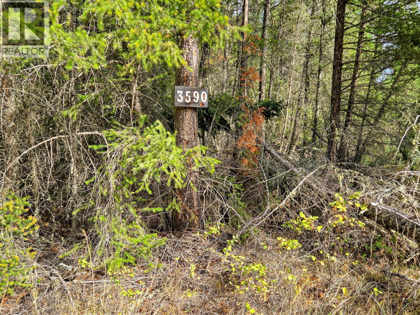 3590 Kootenay No. 3 Road, Windermere