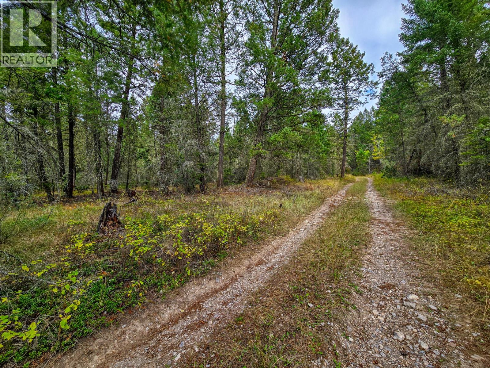 3590 Kootenay No. 3 Road, Windermere