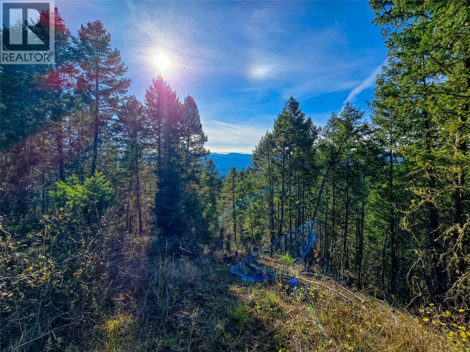 3590 Kootenay No. 3 Road, Windermere