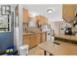 195 John Street S, Minto, ON N0G1Z0 Photo 7