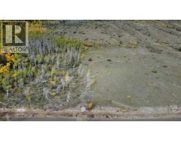 Dl 599 Nemaiah Valley Road, Williams Lake, BC V0L1X0 Photo 13