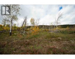 Dl 599 Nemaiah Valley Road, Williams Lake, BC V0L1X0 Photo 7