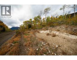 Dl 599 Nemaiah Valley Road, Williams Lake, BC V0L1X0 Photo 8