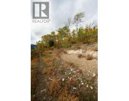Dl 599 Nemaiah Valley Road, Williams Lake, BC V0L1X0 Photo 9