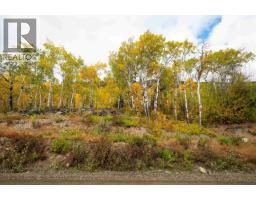Dl 599 Nemaiah Valley Road, Williams Lake, BC V0L1X0 Photo 11