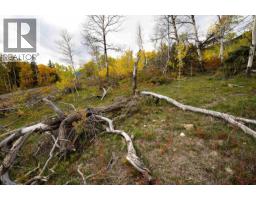 Dl 599 Nemaiah Valley Road, Williams Lake, BC V0L1X0 Photo 6