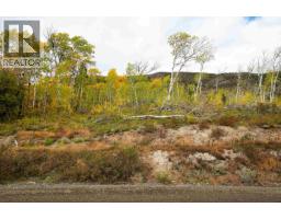 Dl 599 Nemaiah Valley Road, Williams Lake, BC V0L1X0 Photo 10