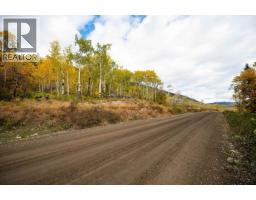 Dl 599 Nemaiah Valley Road, Williams Lake, BC V0L1X0 Photo 12
