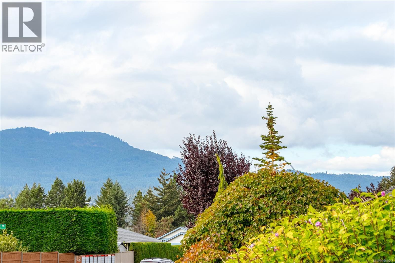 2674 Tamara Dr - Image 41