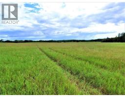 Range Road 142 Highway 55  S, Lac La Biche, AB T0A2C0 Photo 9