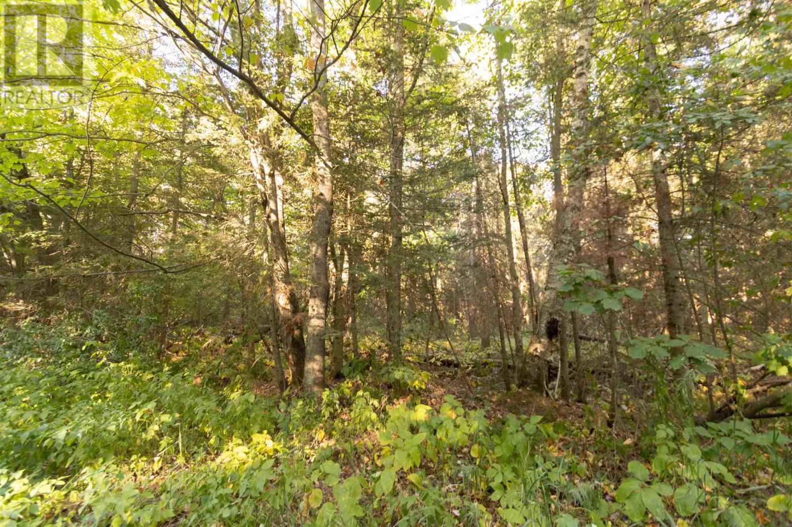 Lot 14&15 Nokomis Beach Rd — photo 7