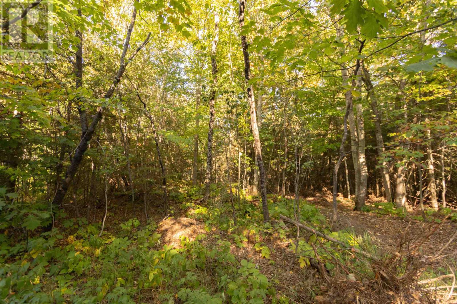 Lot 16 Nokomis Beach Rd — photo 4