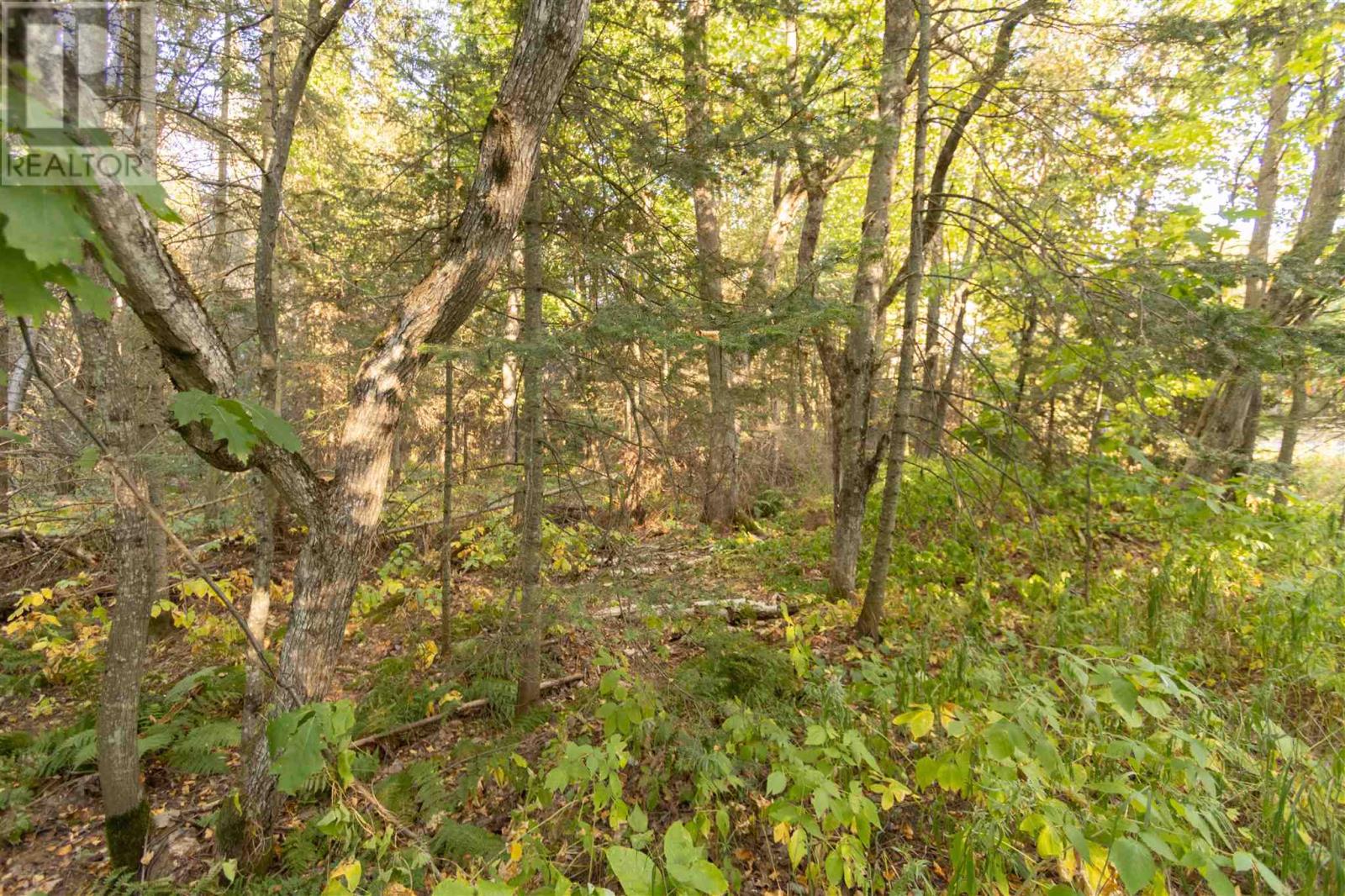 Lot 14&15 Nokomis Beach Rd — photo 8