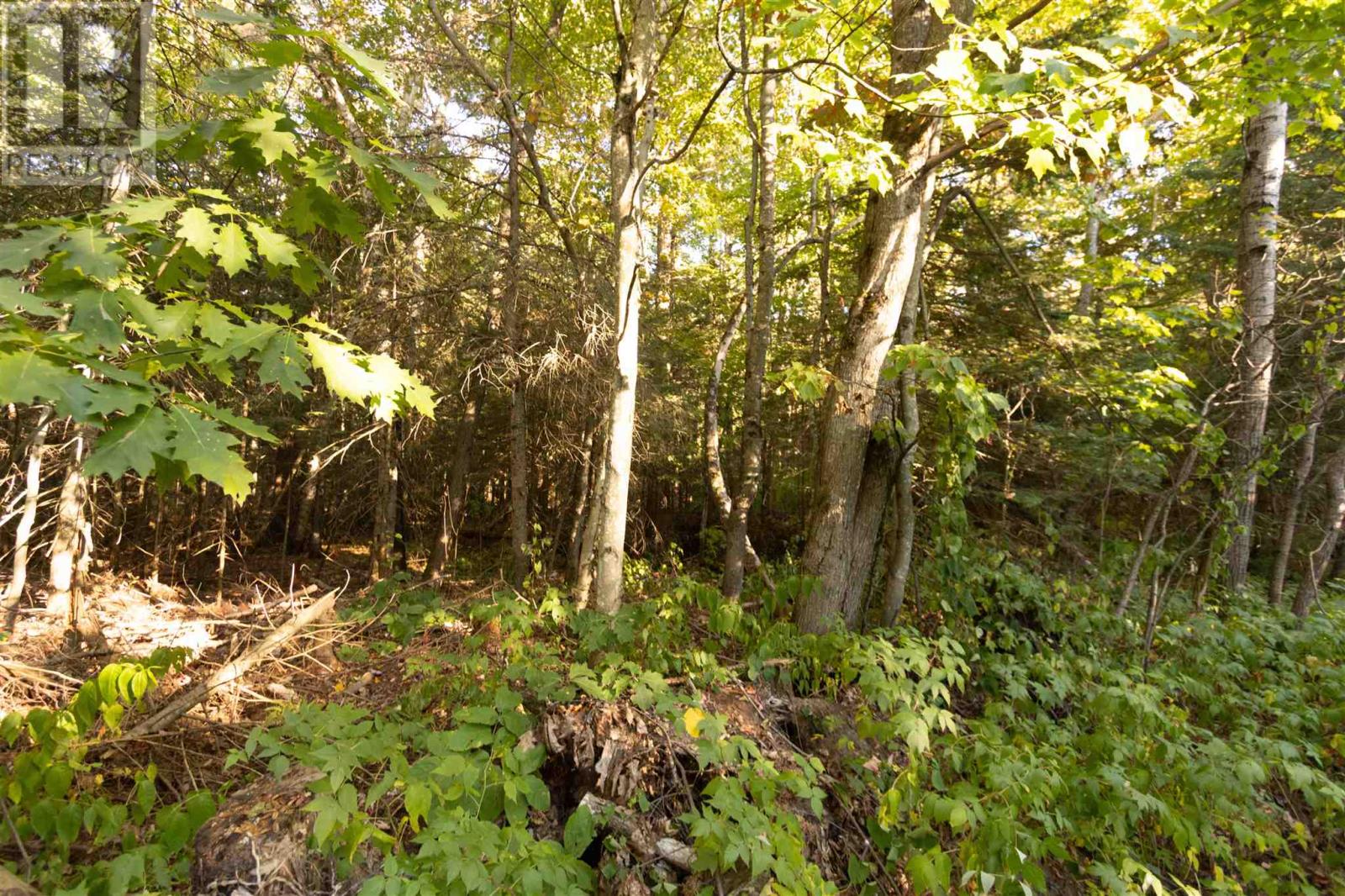 Lot 16 Nokomis Beach Rd — photo 3