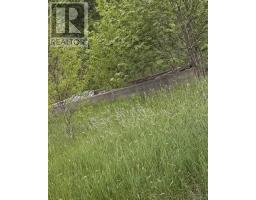 262 Trout Cove Road, Centreville, NS B0V1A0 Photo 6