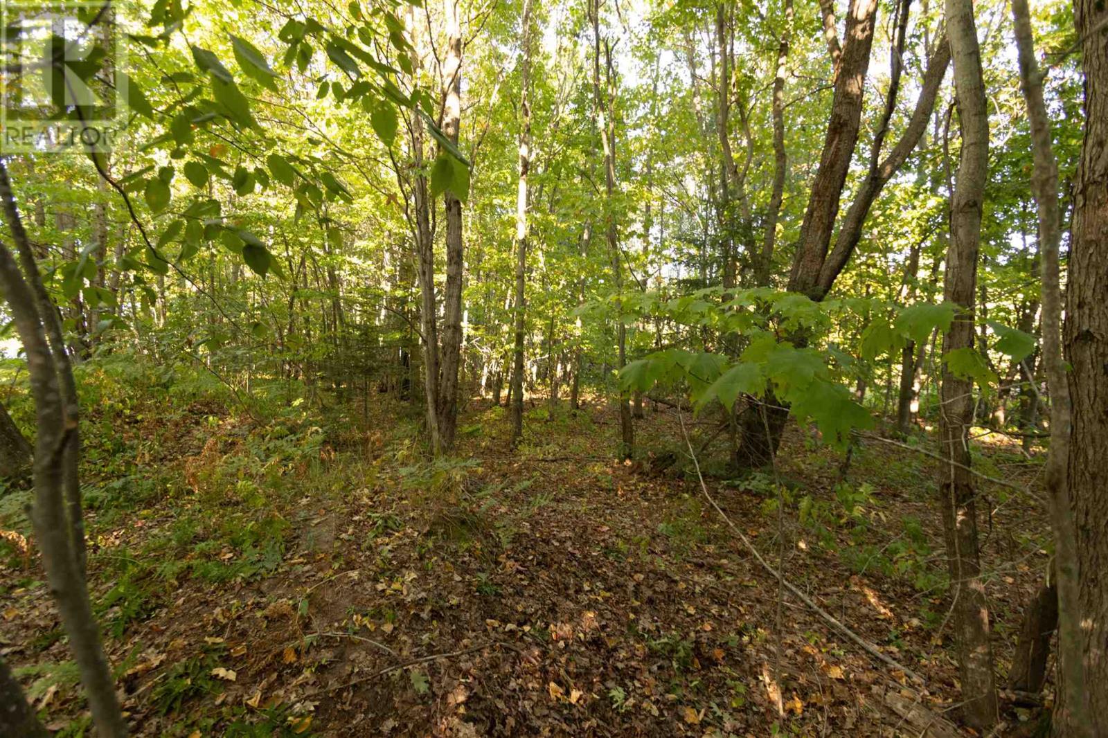 Lot 19 Nokomis Beach Rd — photo 10