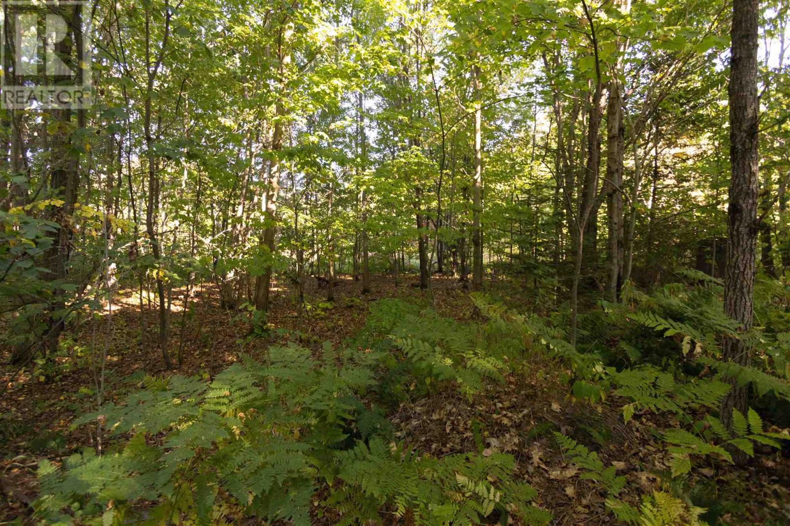 Lot 19 Nokomis Beach Rd — photo 4