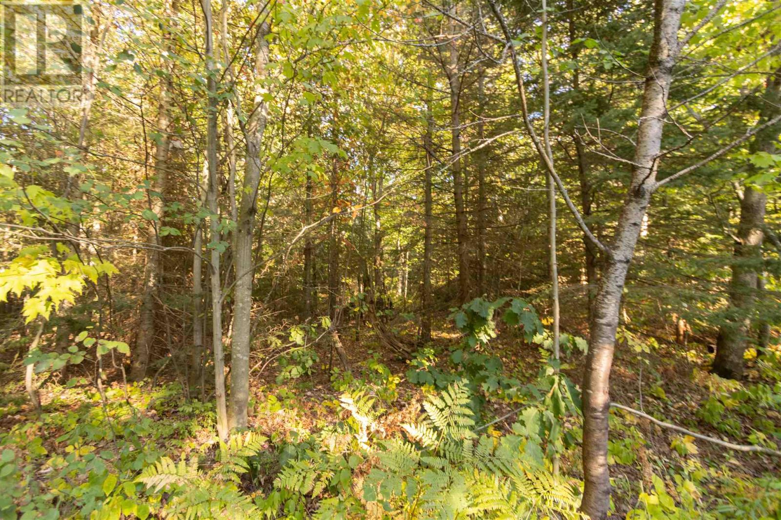 Lot 17 Nokomis Beach Rd — photo 4