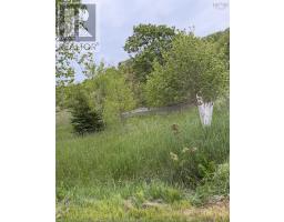 262 Trout Cove Road, Centreville, NS B0V1A0 Photo 7