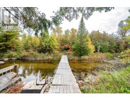 Sunroom - 14 Richmond Street E, Kawartha Lakes, ON K0M2B0 Photo 8