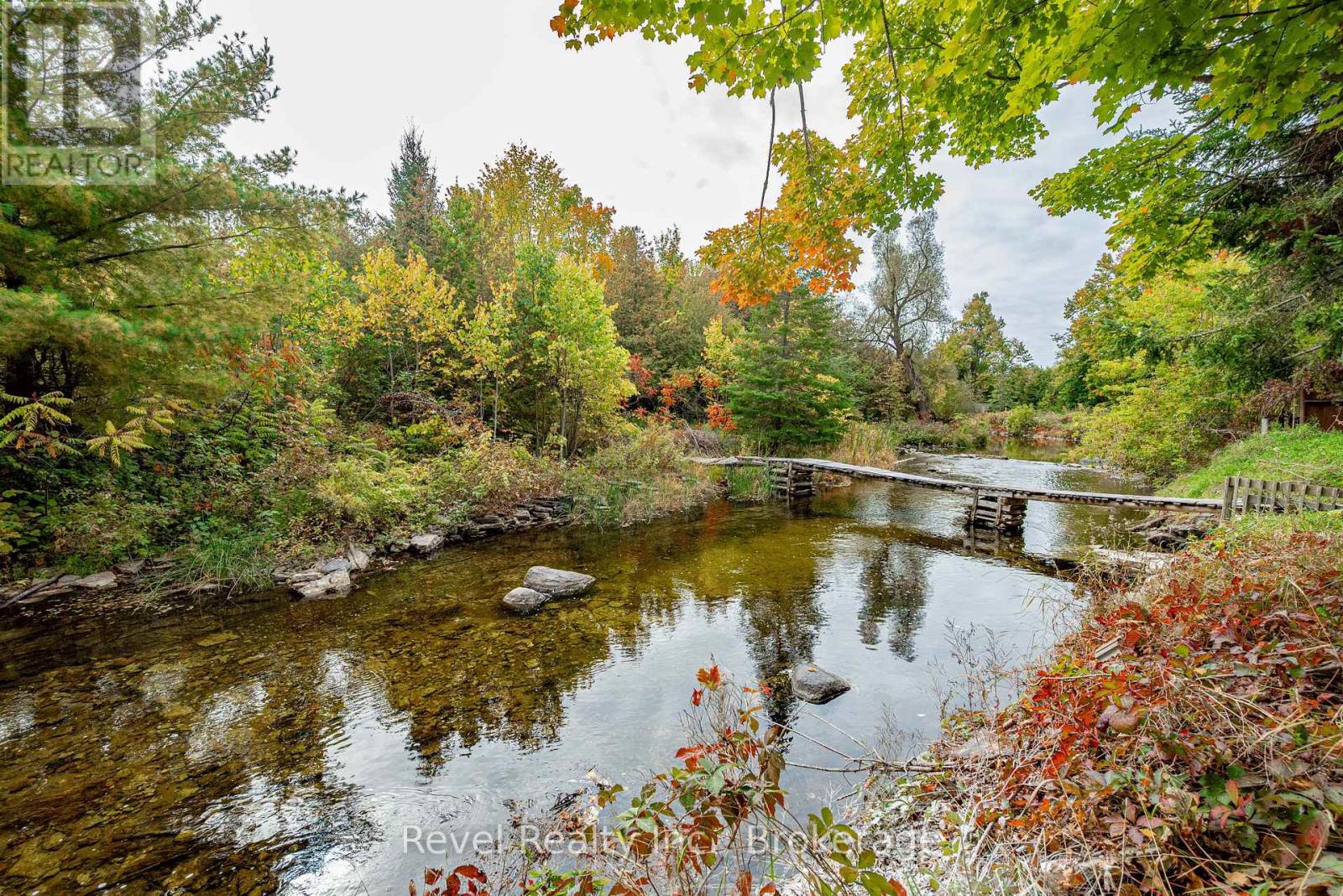 14 Richmond Street East, Kawartha Lakes, ON photo 9
