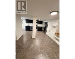 Lower - 9 East 33rd Street, Hamilton, ON L8V3S9 Photo 6