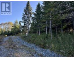 1b-a Cameron Road, Sherbrooke, NS B0J3C0 Photo 9