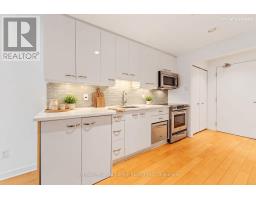 15 - 202 St Patrick Street, Ottawa, ON K1N5K3 Photo 7