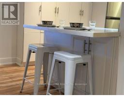 Basement - 18 Pape Avenue, Toronto, ON M4M2V6 Photo 18