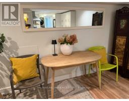 Basement - 18 Pape Avenue, Toronto, ON M4M2V6 Photo 19