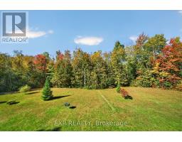 9525 Old Homestead Road, Georgina, ON L0E1N0 Photo 41