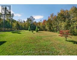 9525 Old Homestead Road, Georgina, ON L0E1N0 Photo 45