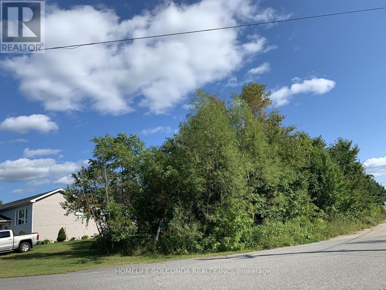 195 Nelson Street, Gravenhurst), ON photo 4