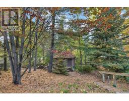 14 Roy Street, Petawawa, ON K8H3A6 Photo 48