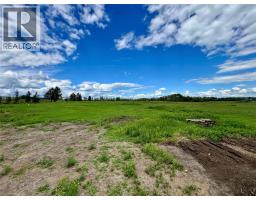 Bedroom - 3074 208 Road, Dawson Creek, BC V1G0C3 Photo 6