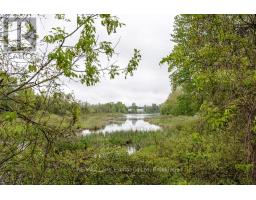 463 Wolsley Street, Huron Kinloss, ON N0G2H0 Photo 33