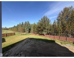 119 Hilton Cv, Spruce Grove, AB T7X1Y4 Photo 36