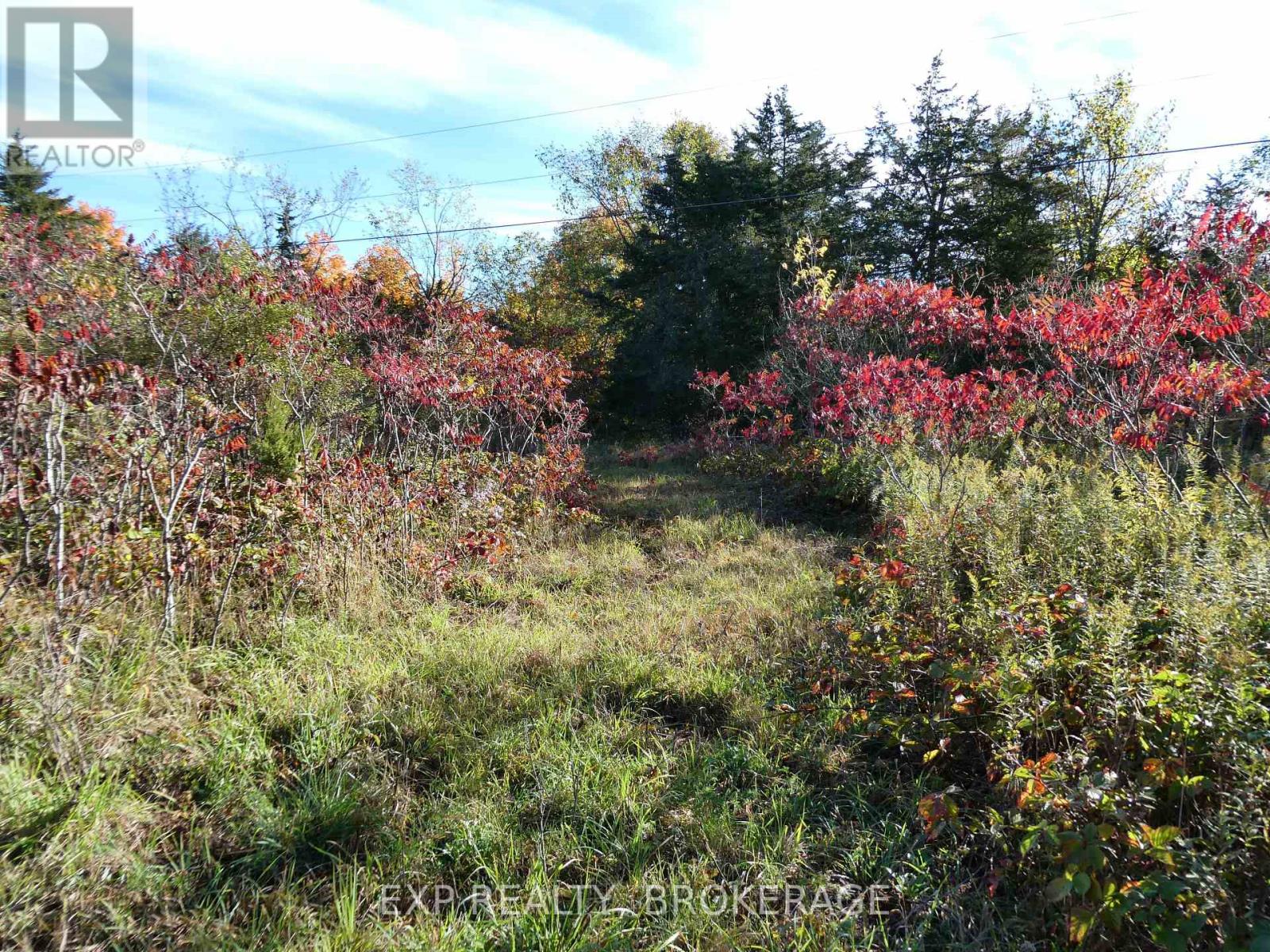 PT LT 23 CON 7 PEBBLE LANE S, Frontenac — photo 3