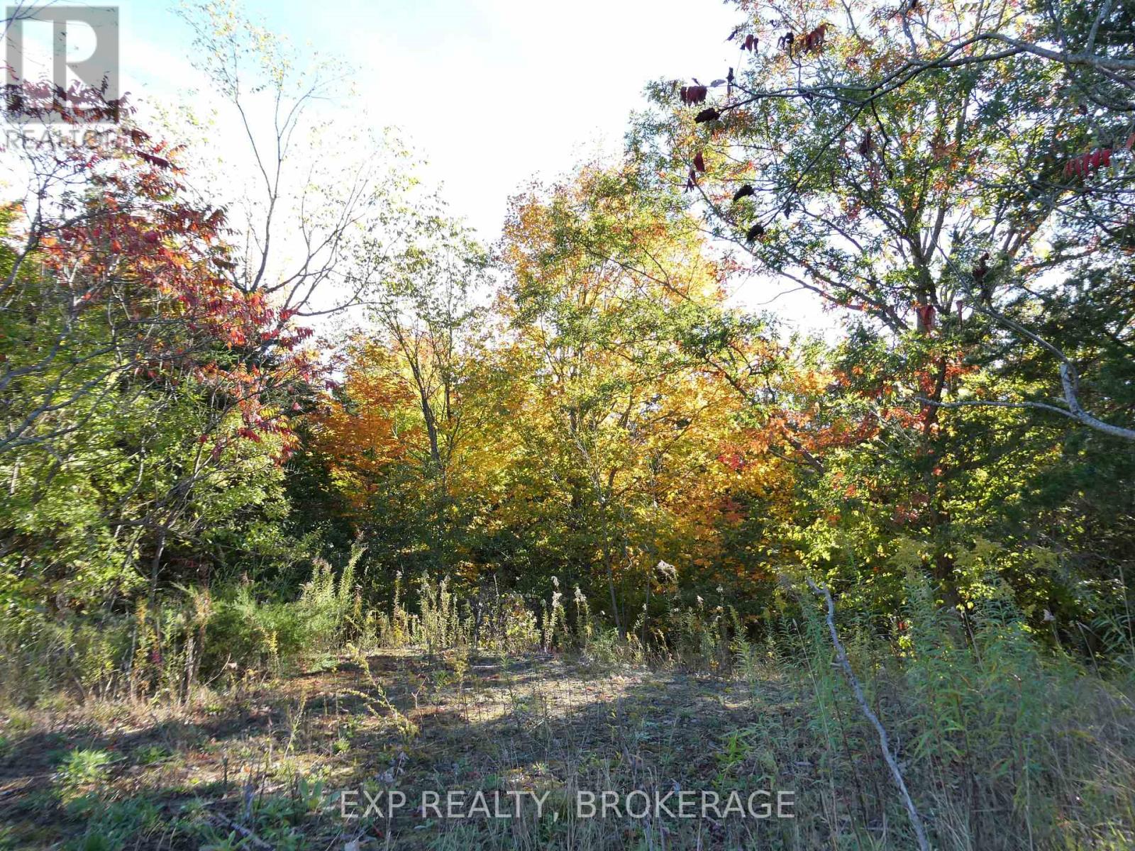Pebble Lane South — photo 4