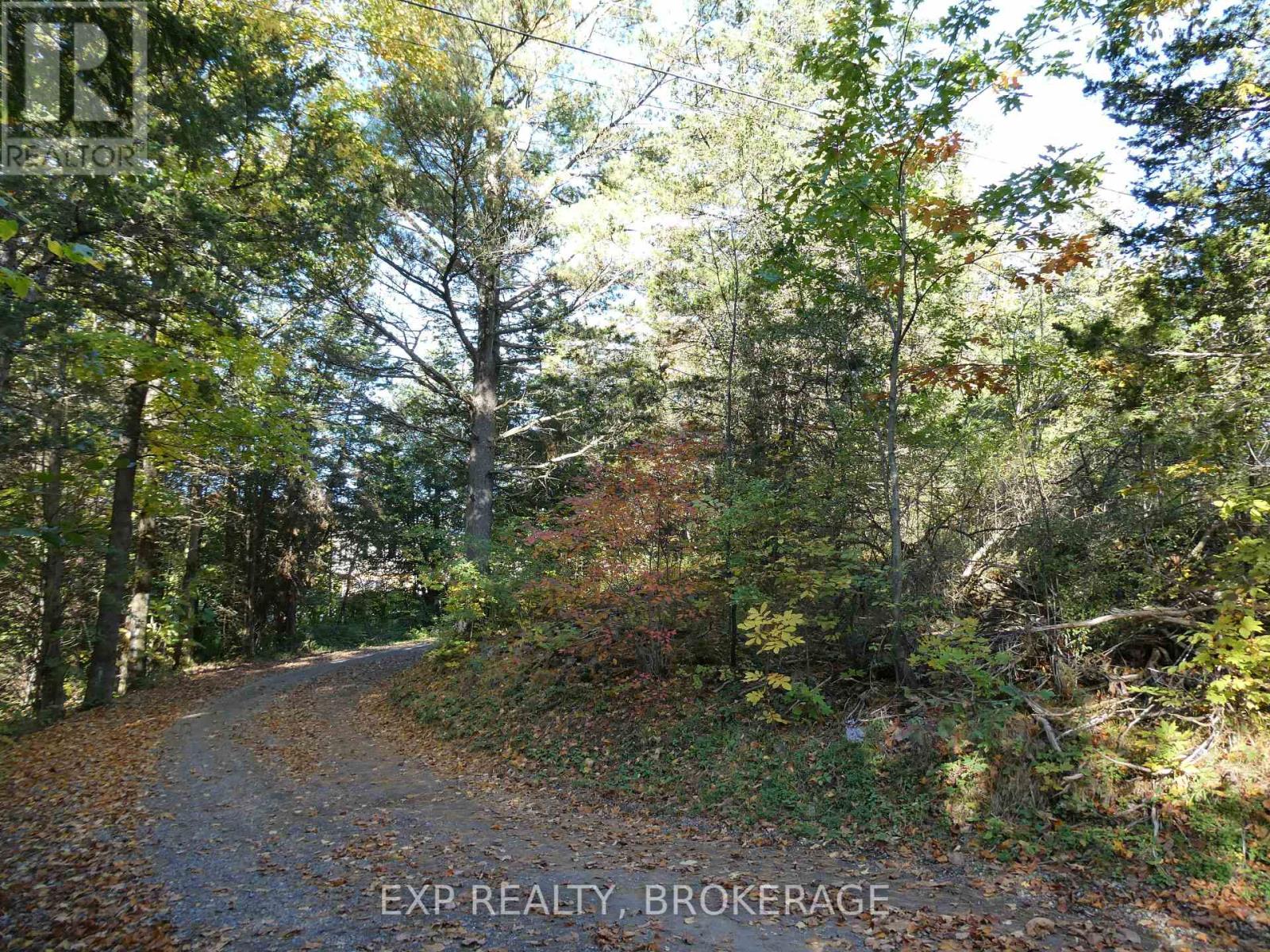 Pebble Lane South — photo 8