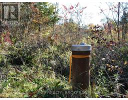 Pt Lt 23 Con 7 Pebble Lane S, Frontenac, ON K0H2L0 Photo 7