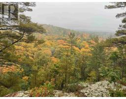 21566 Highway 17 E, Huron Shores, ON P0R1H0 Photo 14