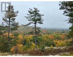 21566 Highway 17 E, Huron Shores, ON P0R1H0 Photo 16