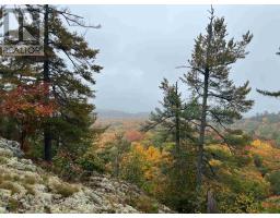 21566 Highway 17 E, Huron Shores, ON P0R1H0 Photo 17