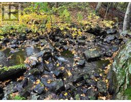 21566 Highway 17 E, Huron Shores, ON P0R1H0 Photo 18